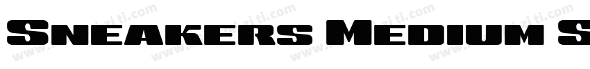 Sneakers Medium SC R字体转换